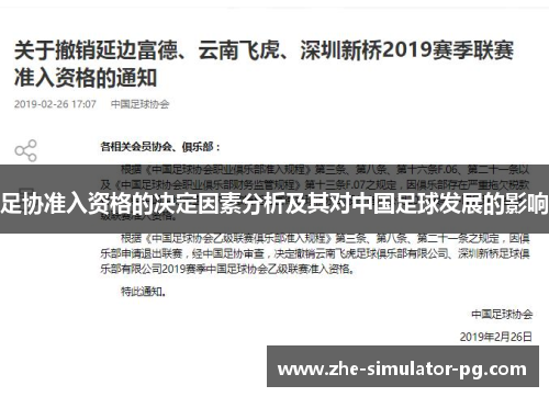 足协准入资格的决定因素分析及其对中国足球发展的影响 足协准入资格的决定因素分析及其对中国足球发展的影响