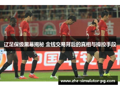 辽足保级黑幕揭秘 金钱交易背后的真相与操控手段
