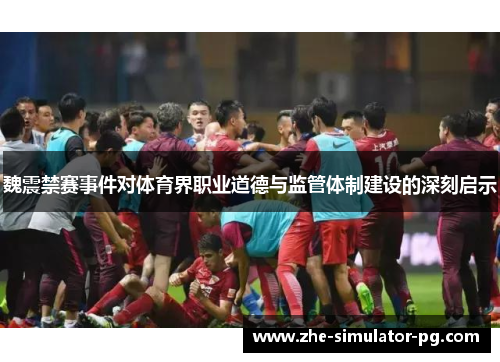 魏震禁赛事件对体育界职业道德与监管体制建设的深刻启示