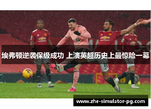 埃弗顿逆袭保级成功 上演英超历史上最惊险一幕